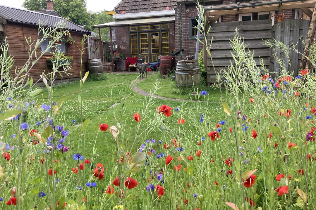 Photo 37 of Mernaweg 30