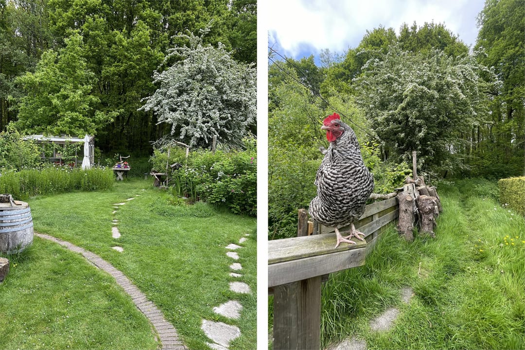 Photo 38 of Mernaweg 30