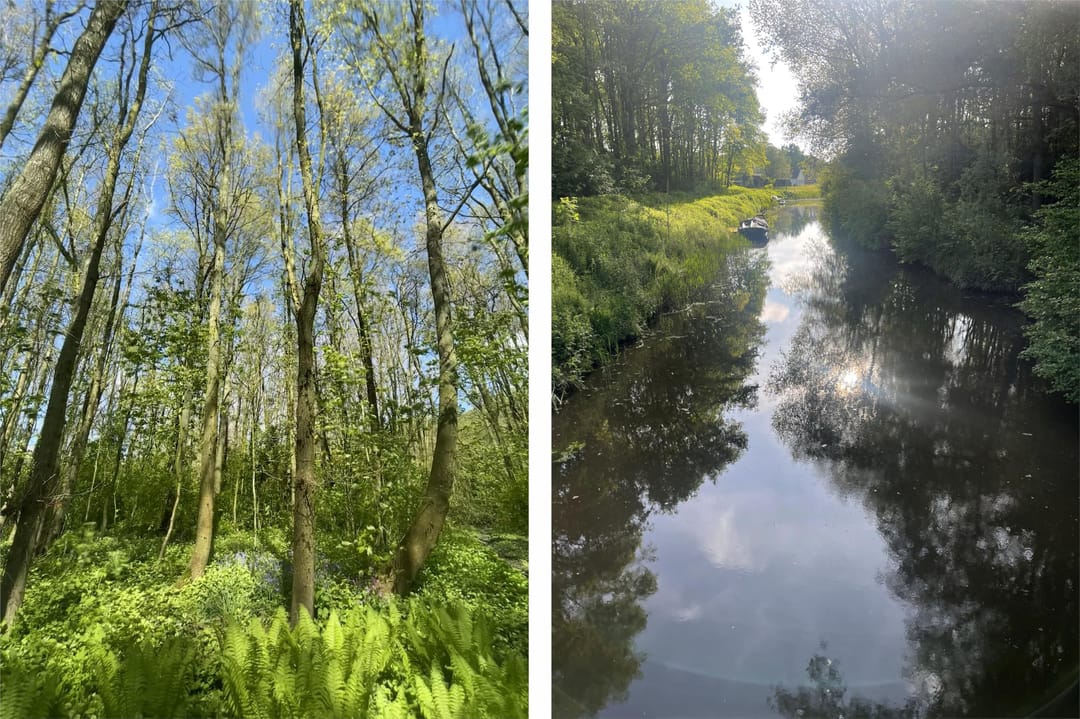 Photo 52 of Mernaweg 30