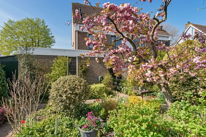 Foto 5 van Bereklauw 23