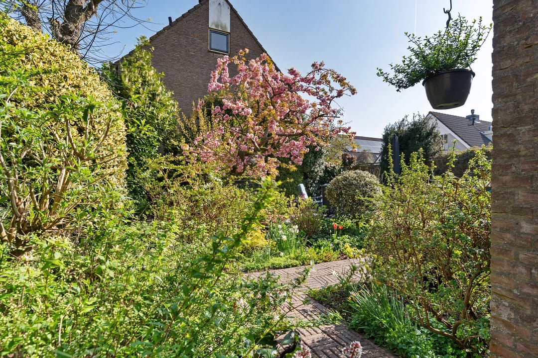 Foto 22 van Bereklauw 23