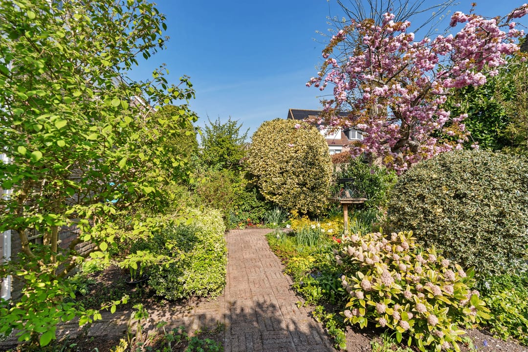 Foto 23 van Bereklauw 23