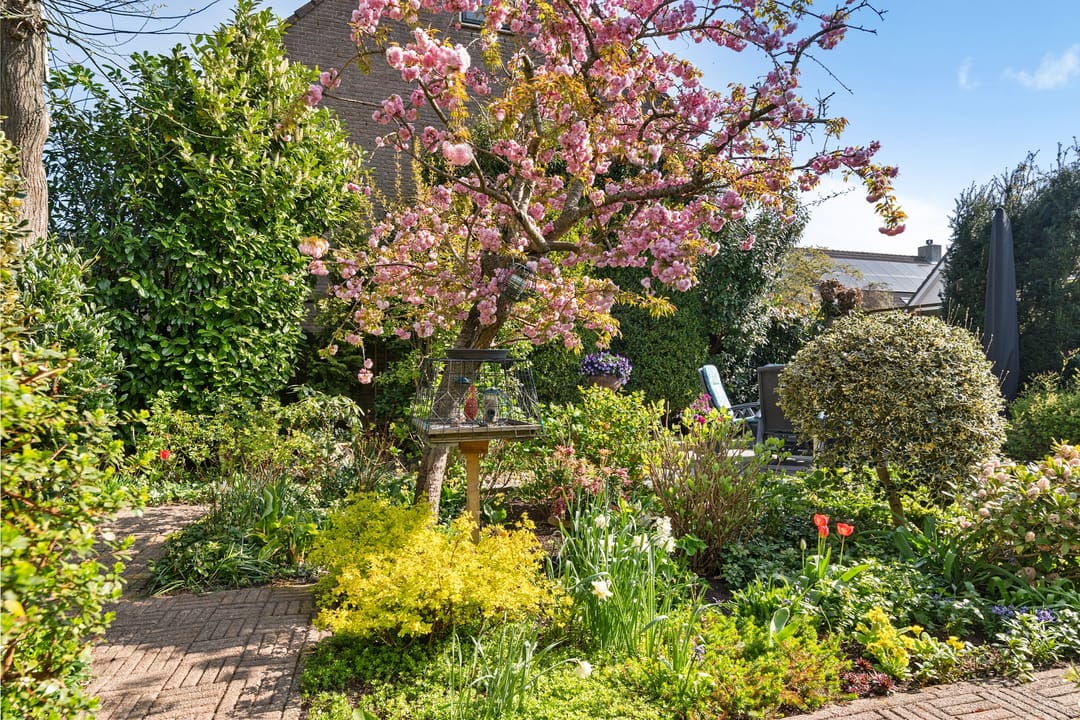 Foto 26 van Bereklauw 23