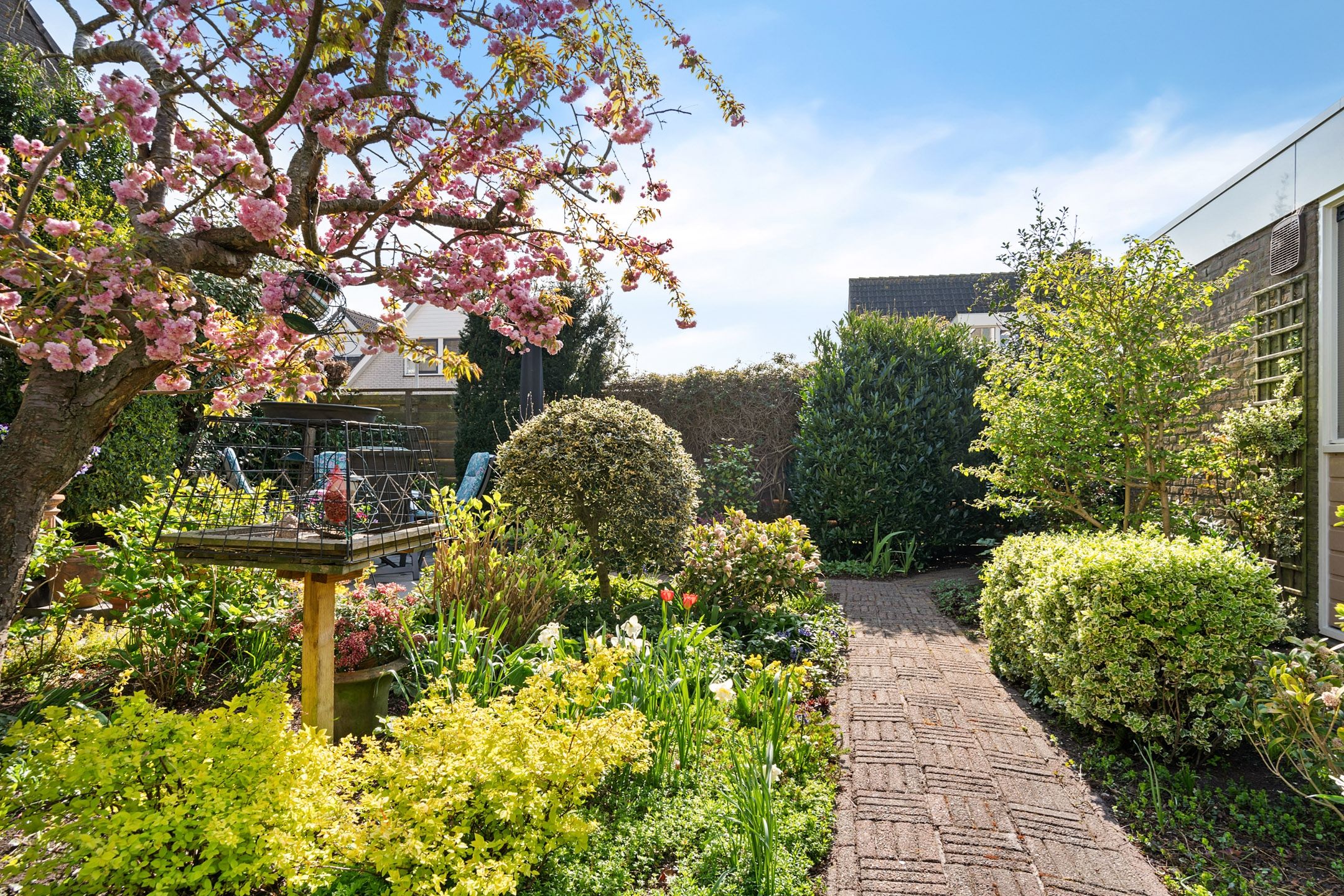 Foto 27 van Bereklauw 23