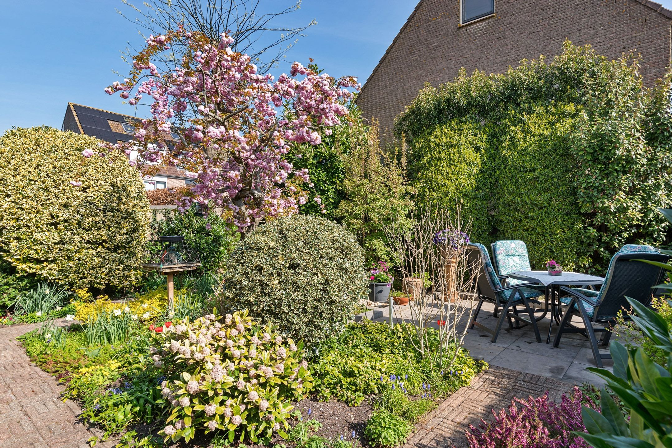 Foto 30 van Bereklauw 23