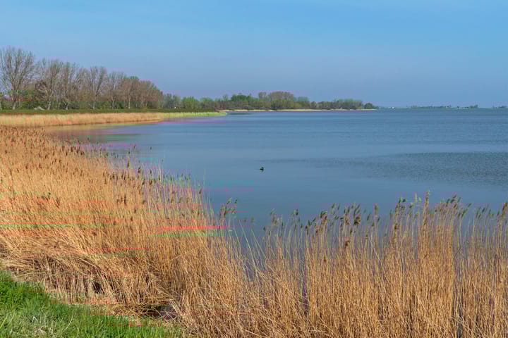 Foto 61 van Bereklauw 23