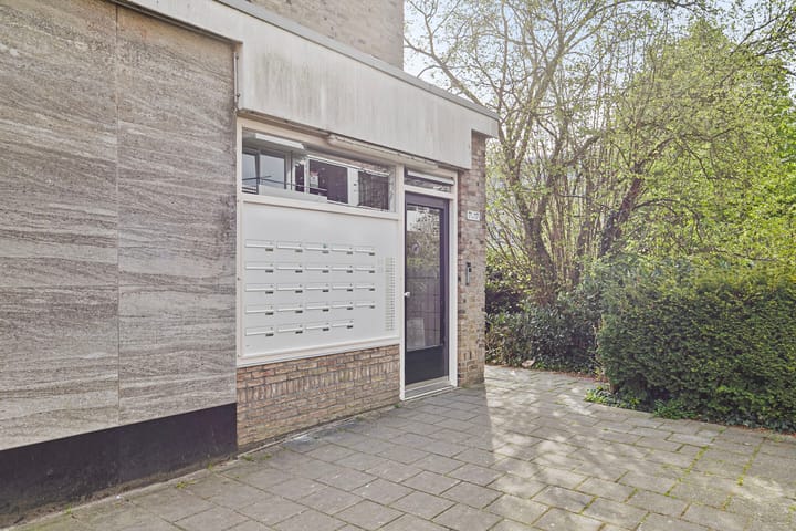 Foto 18 van Molenvliet 97