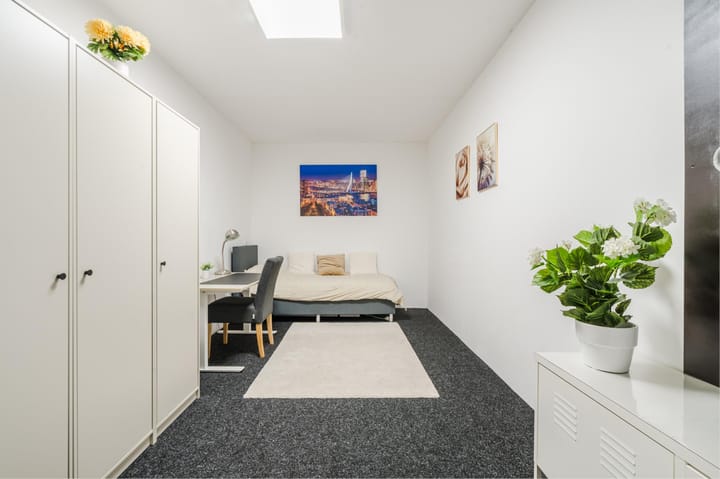 Foto 24 van Wijnhaven 67-E