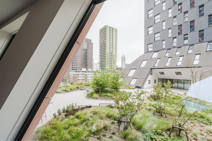 Foto 50 van Wijnhaven 67-E