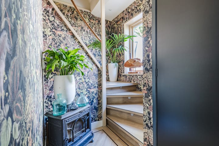 Foto 7 van Molletjesveer 5