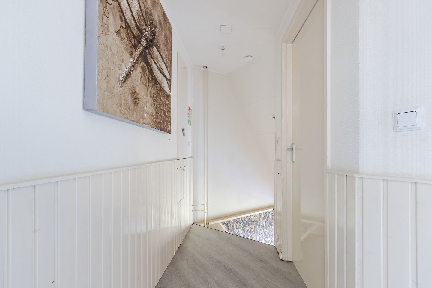 Foto 29 van Molletjesveer 5