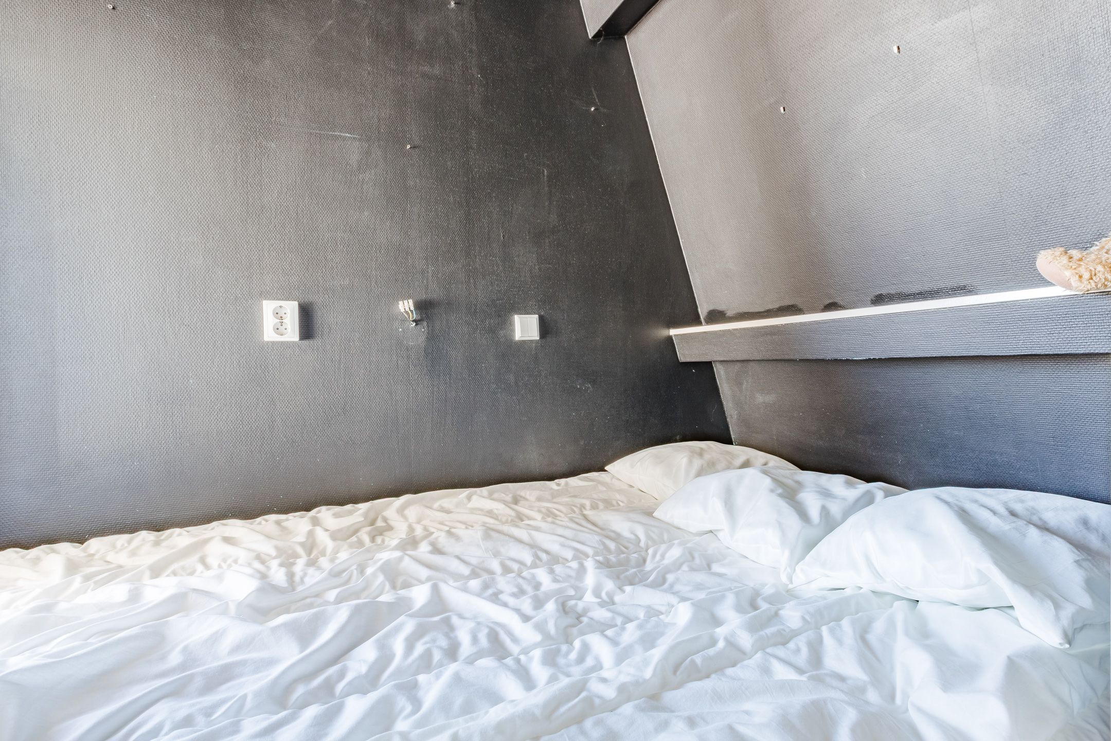 Foto 45 van Molletjesveer 5