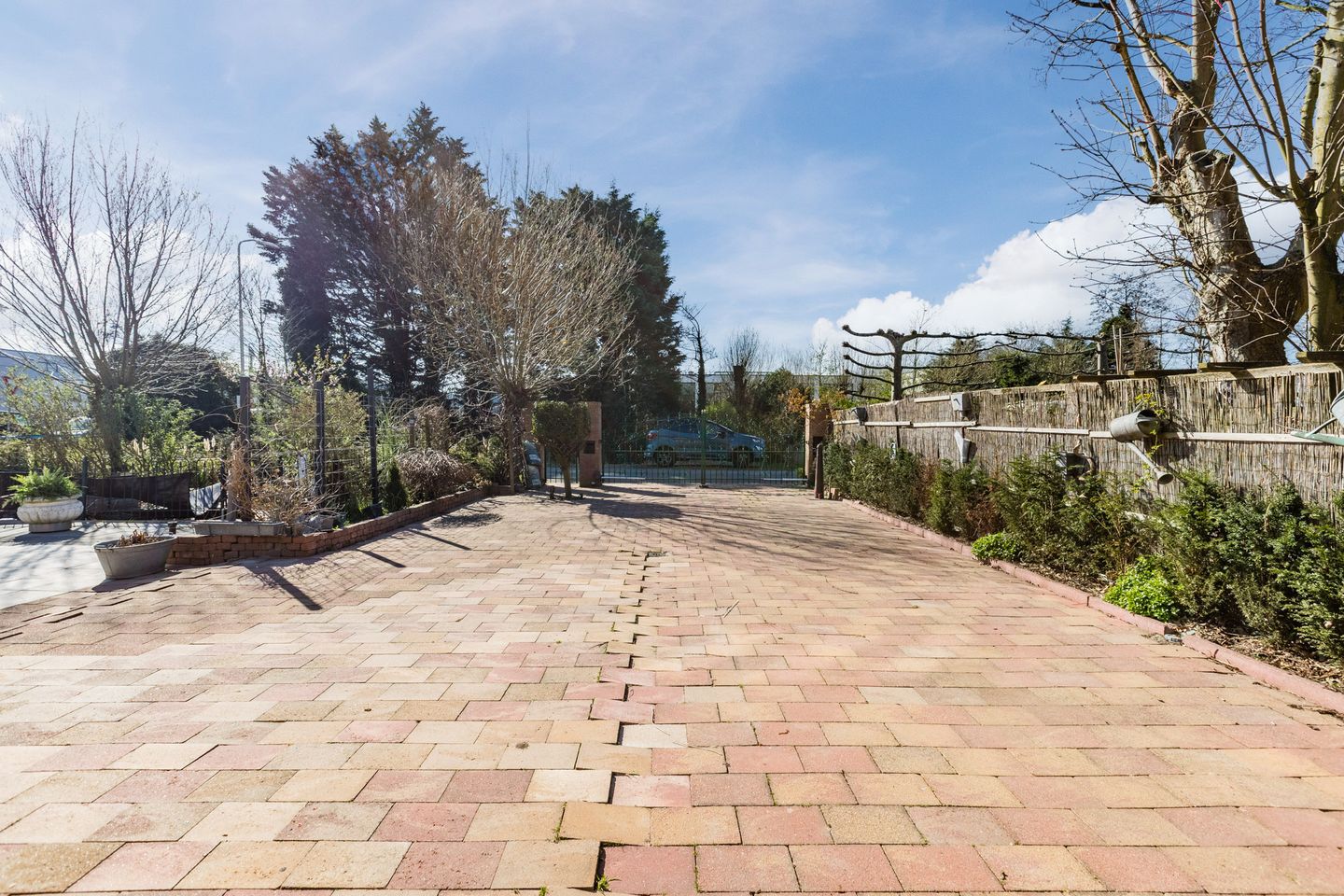 Foto 65 van Molletjesveer 5