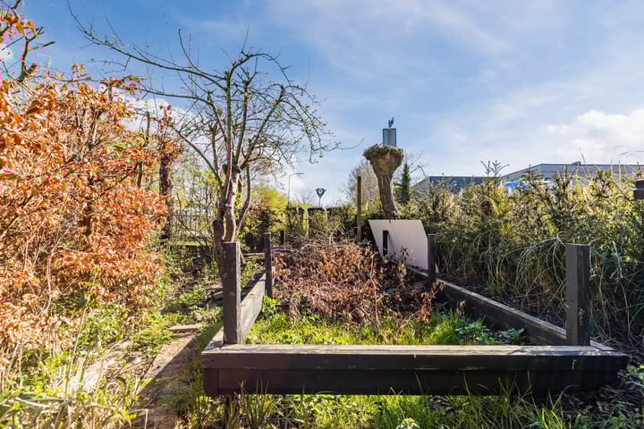 Foto 74 van Molletjesveer 5