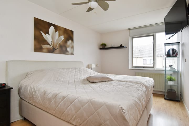 Foto 34 van Ratelaar 24