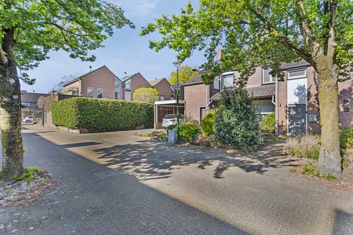 Foto 37 van Hertshooi 5