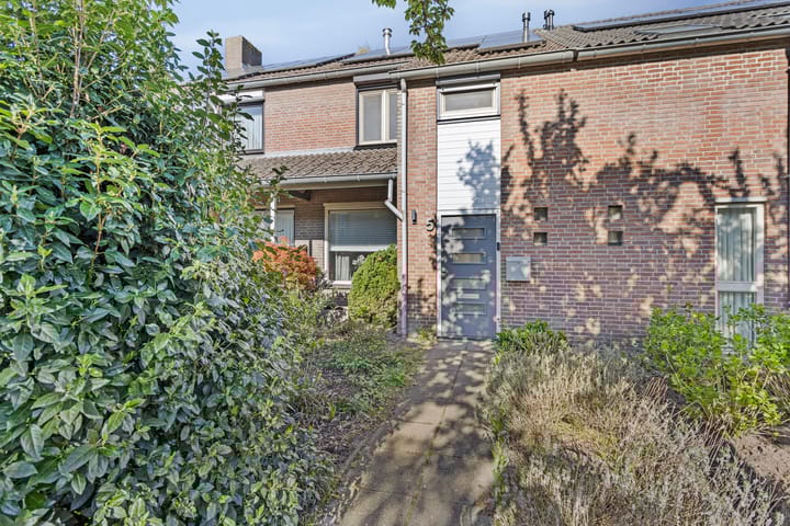 Foto 6 van Hertshooi 5