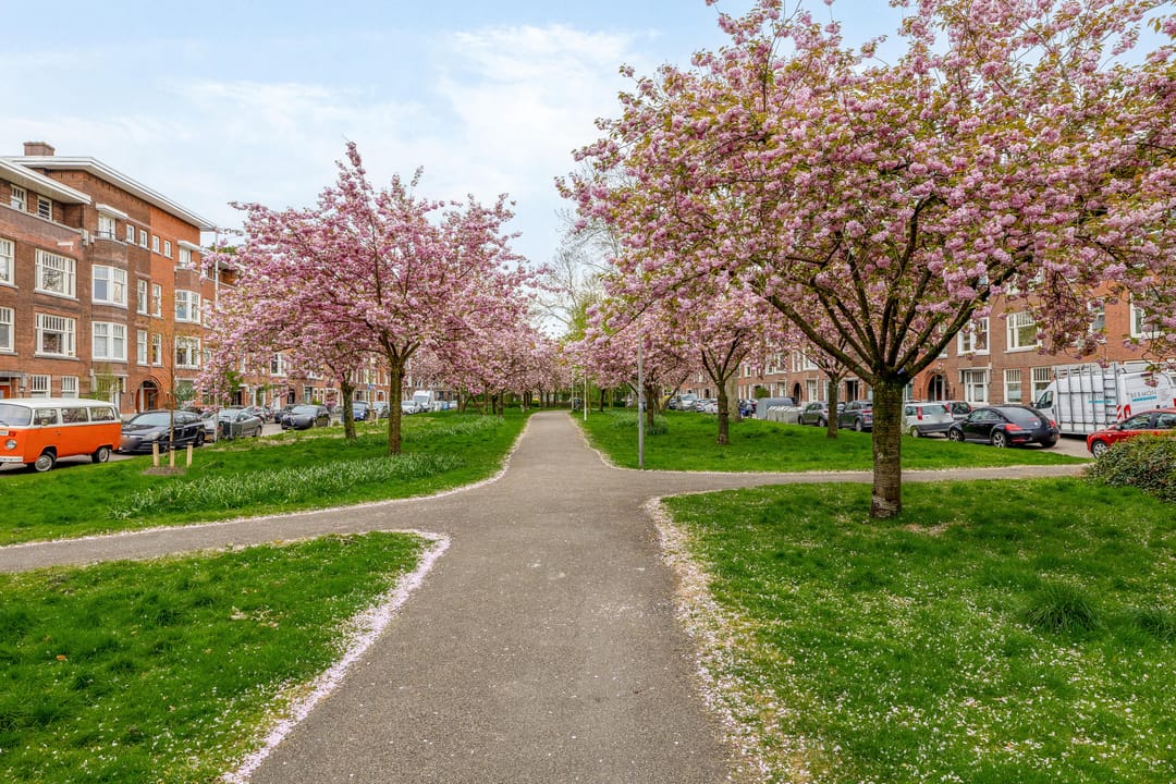 Foto 52 van De Savornin Lohmanlaan 47-A01