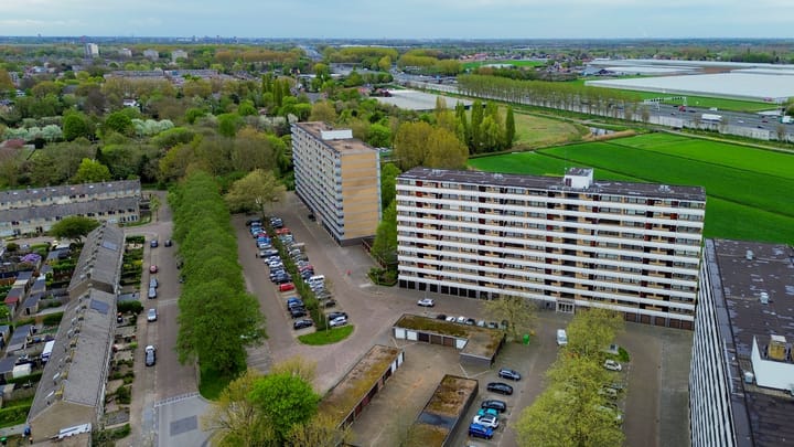 Photo 1 of Seringenplantsoen 385