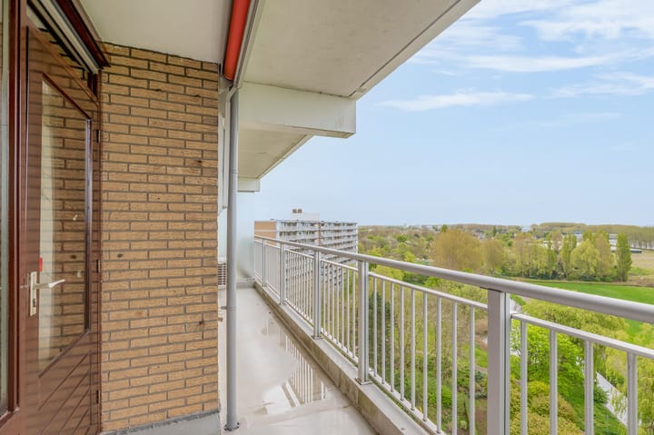 Foto 3 van Seringenplantsoen 385