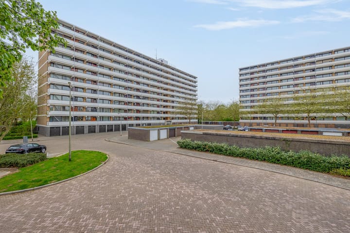 Foto 5 van Seringenplantsoen 385