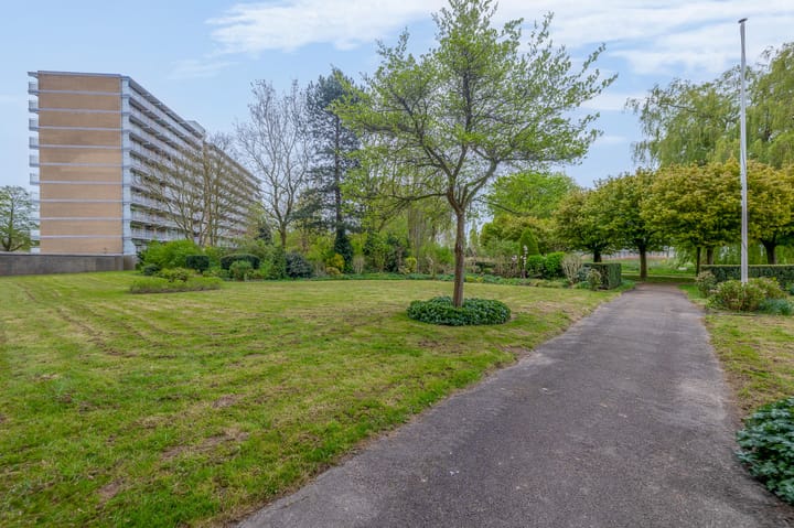 Photo 34 of Seringenplantsoen 385