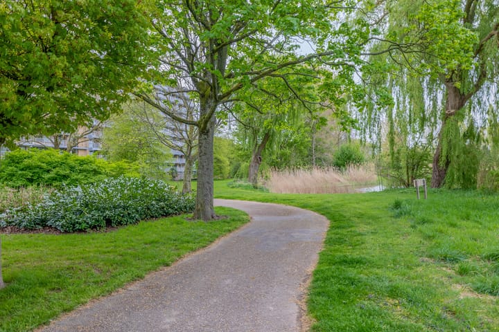 Photo 35 of Seringenplantsoen 385