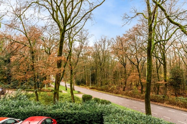 Foto 2 van Koningsberg 5