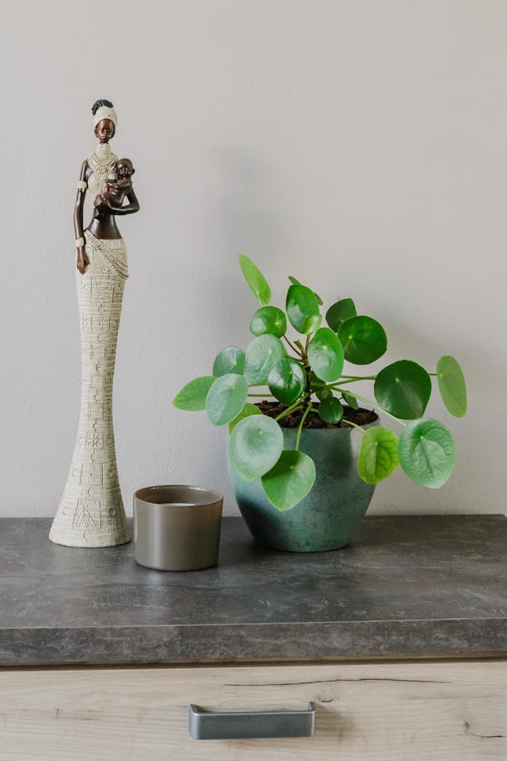 Foto 16 van Davenschot 18