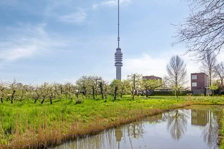 Foto 38 van Jan David Zocherstraat 56