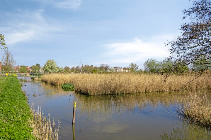 Foto 39 van Jan David Zocherstraat 56