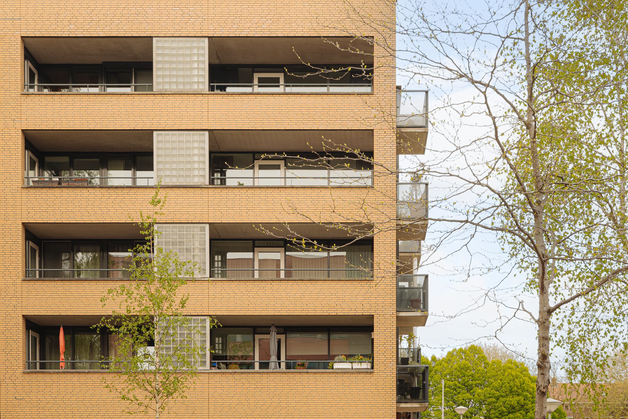 Foto 3 van De Lierhof 55