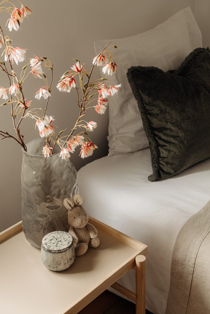 Foto 24 van De Lierhof 55