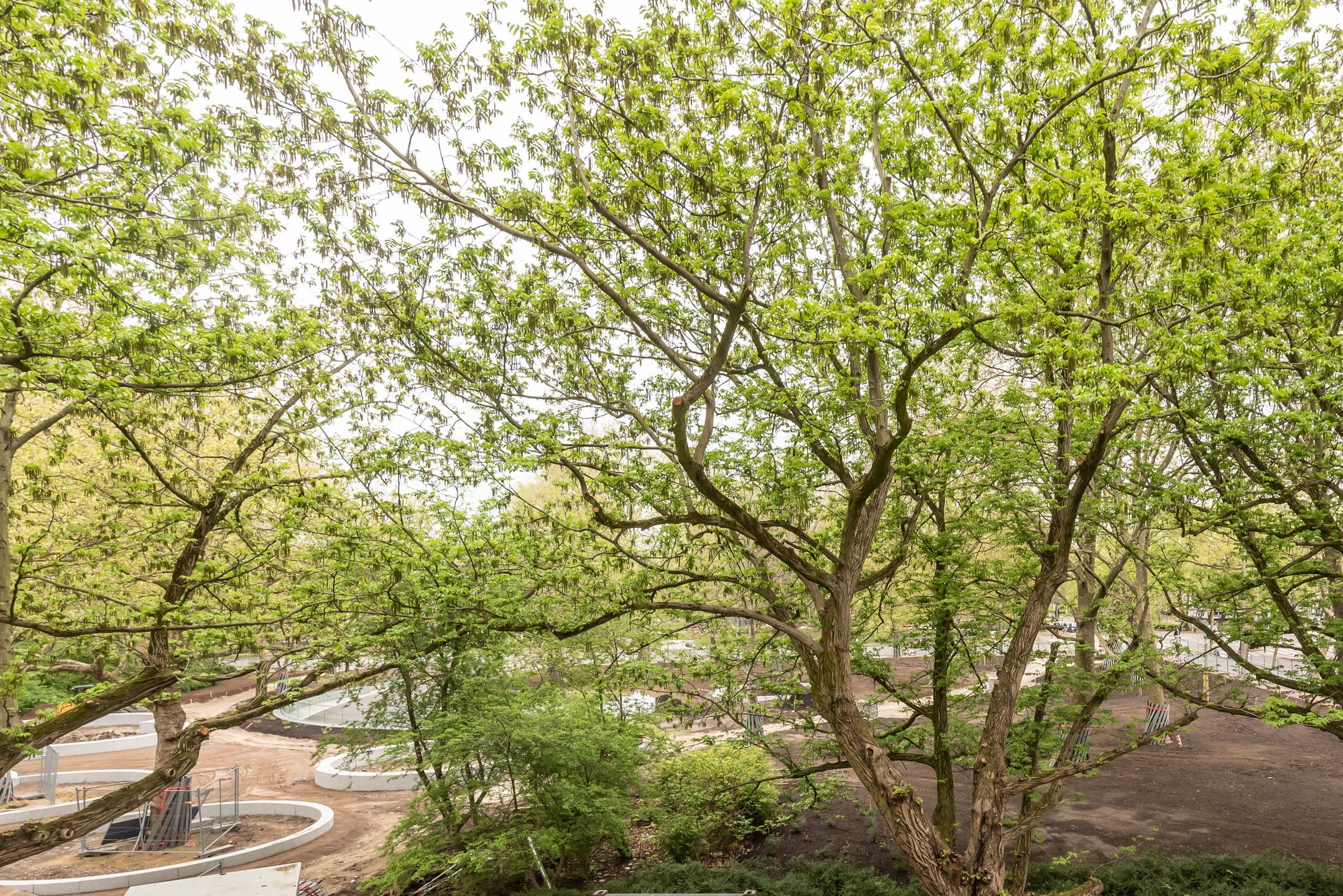 Foto 6 van Frederik Hendrikplantsoen 3-1