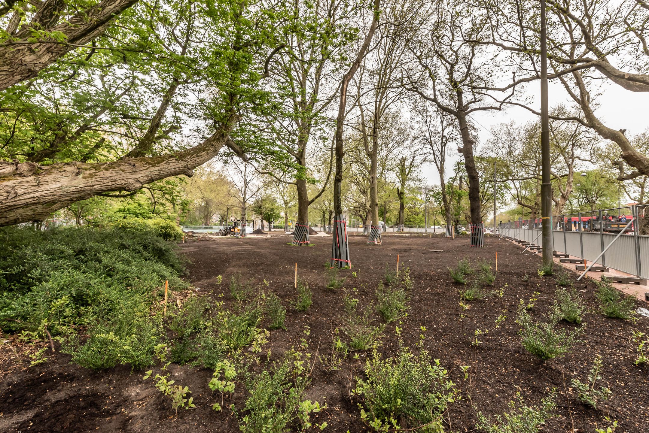 Foto 33 van Frederik Hendrikplantsoen 3-1