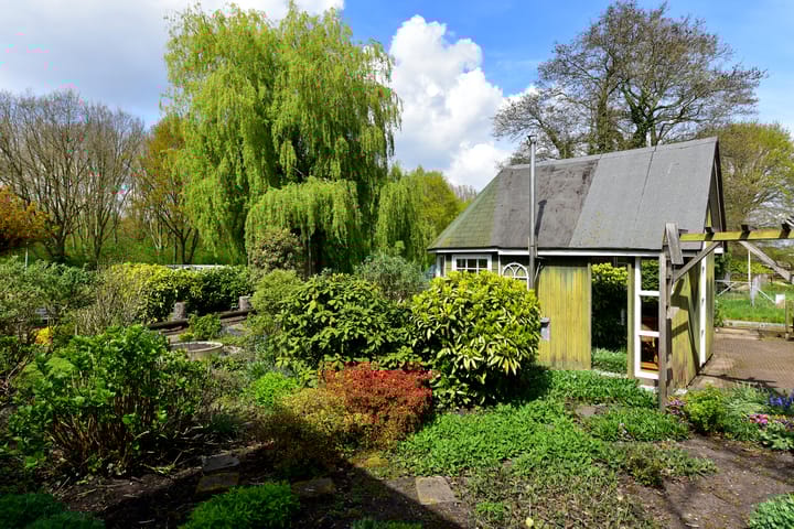 Foto 15 van Vuurlijn 25