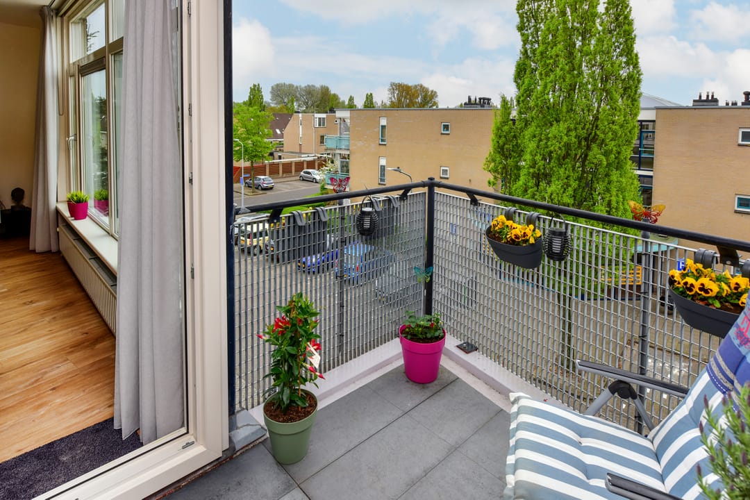 Foto 13 van Ranonkelstraat 22