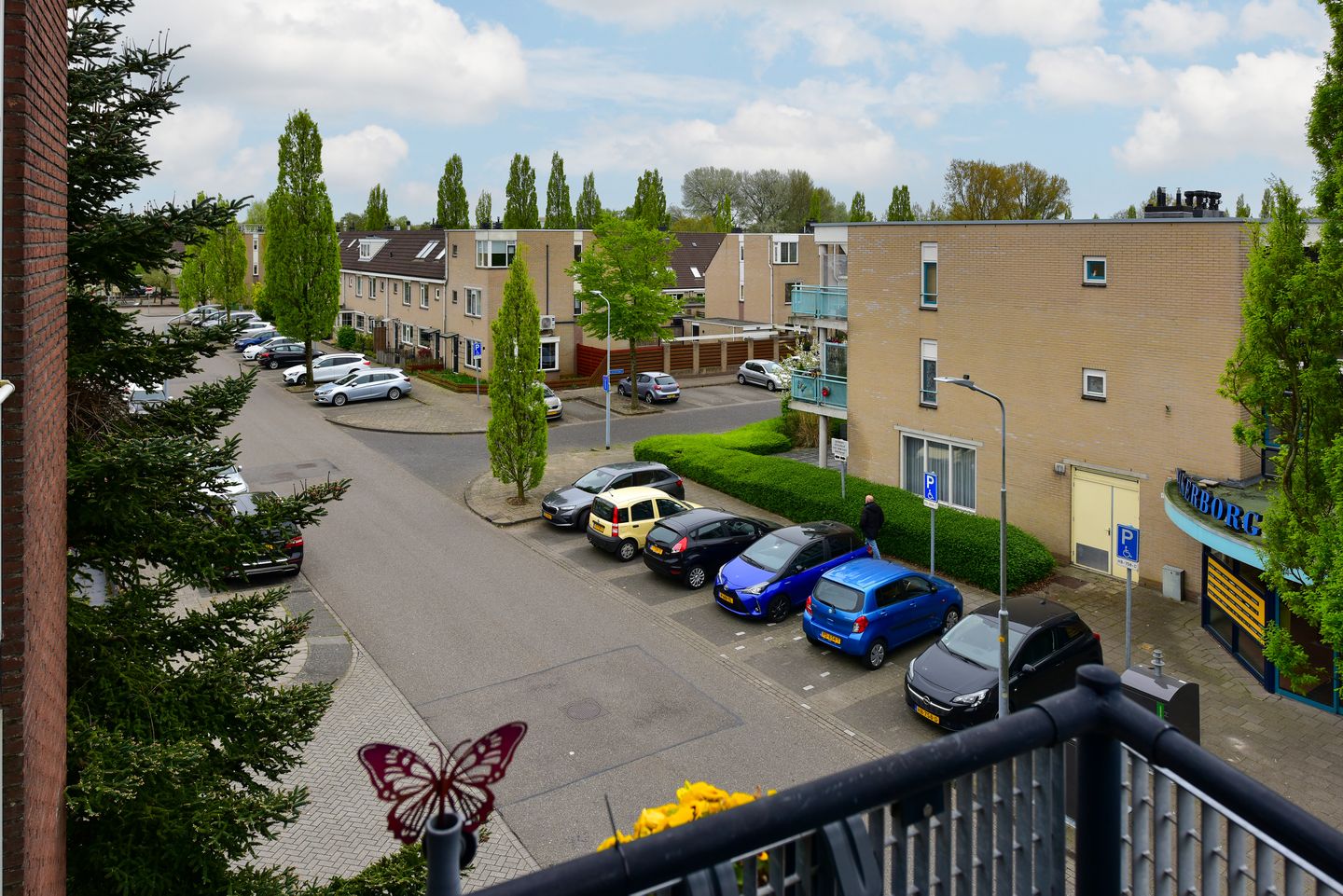 Foto 19 van Ranonkelstraat 22