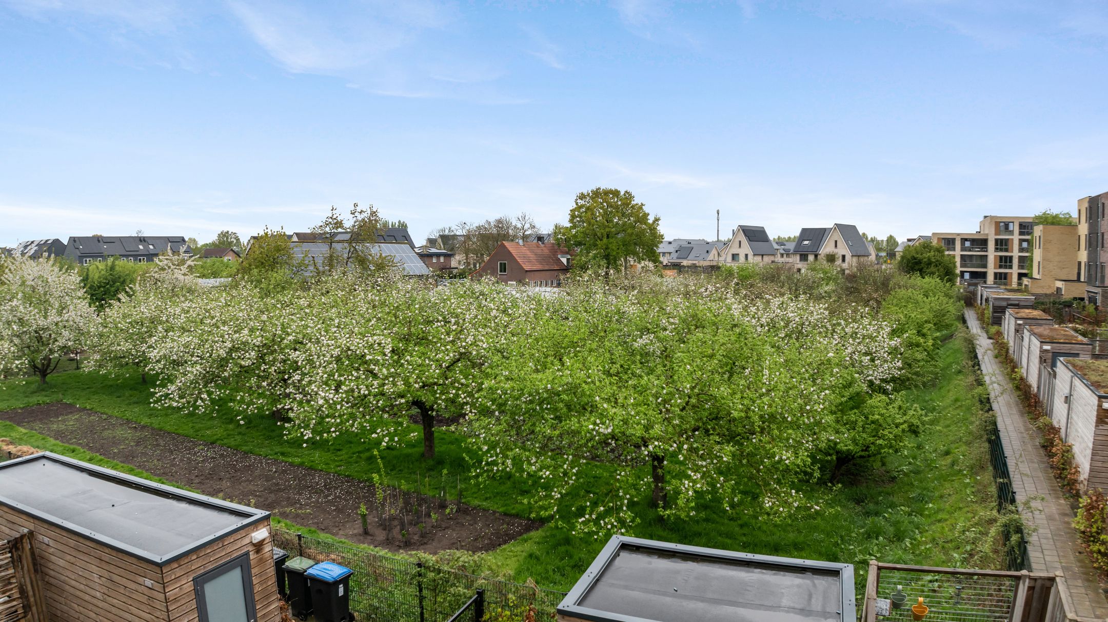 Foto 51 van Donatellostraat 36