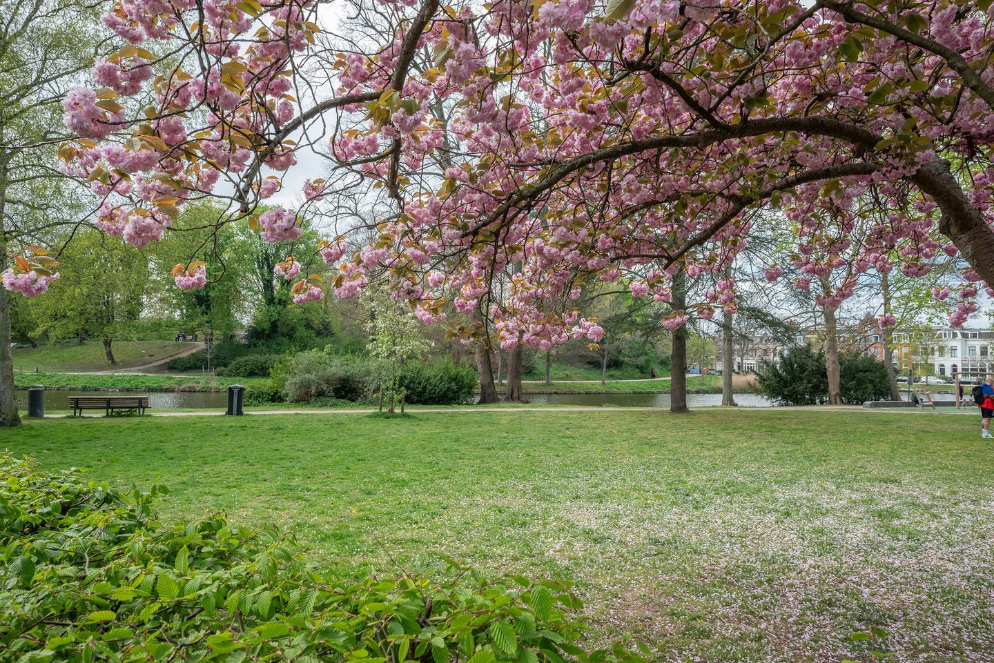 Foto 34 van Schotersingel 25-RD