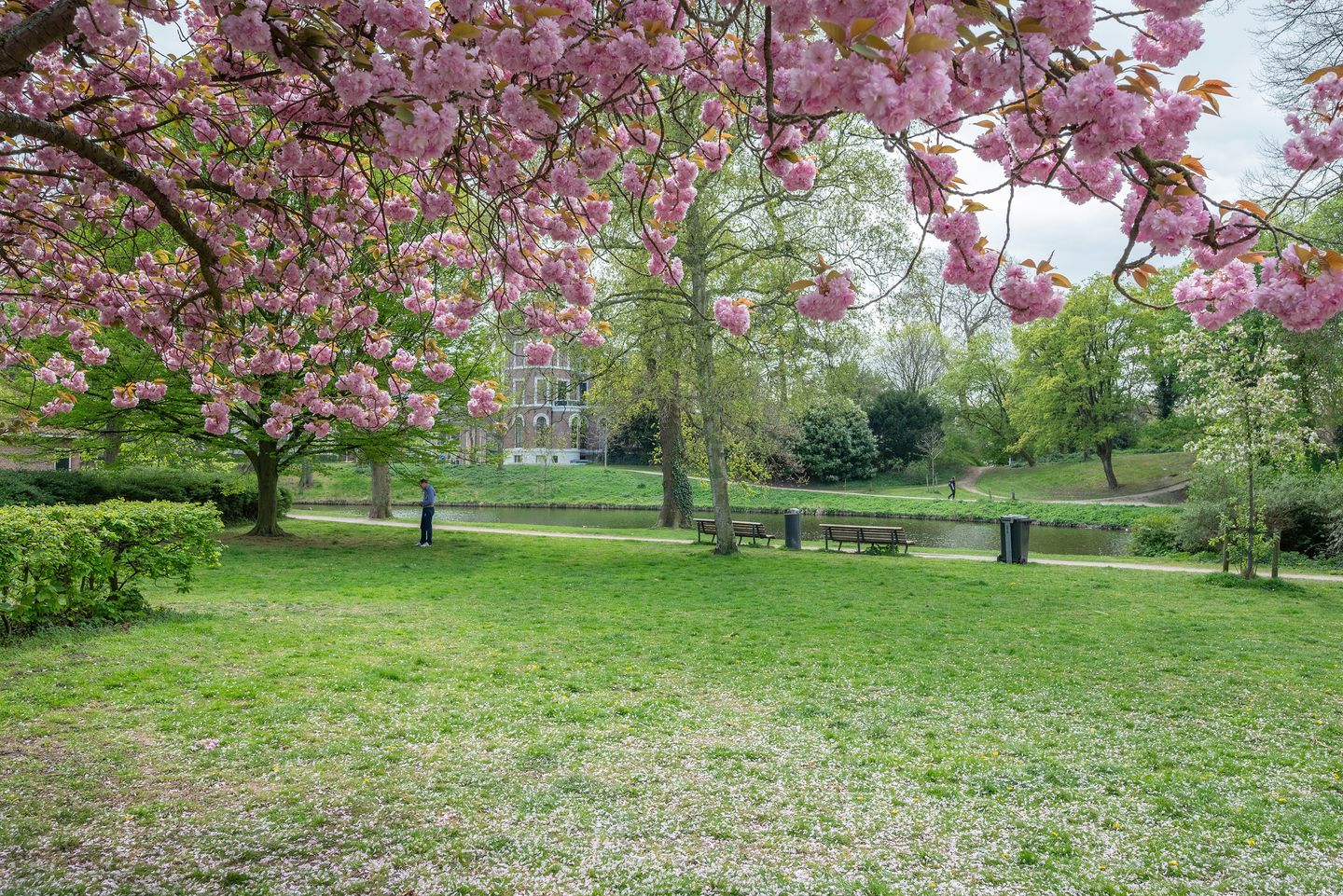 Foto 35 van Schotersingel 25-RD