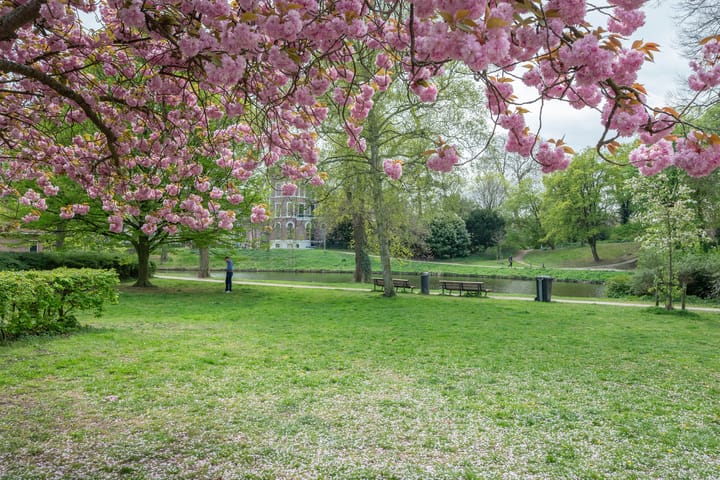 Foto 35 van Schotersingel 25-RD