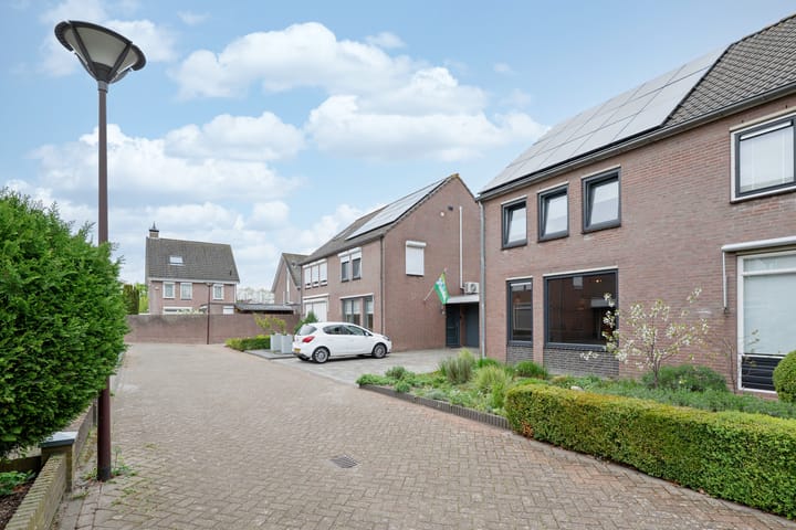 Foto 3 van Lisdodde 4