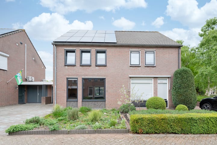 Foto 4 van Lisdodde 4