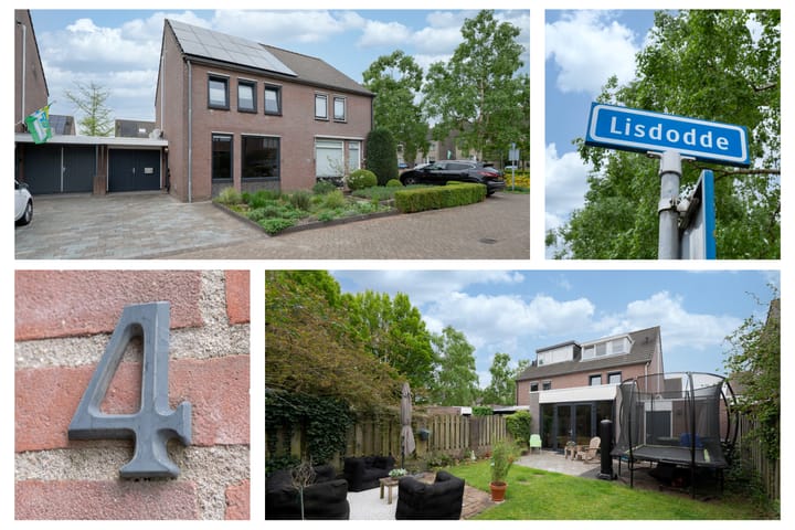 Foto 2 van Lisdodde 4