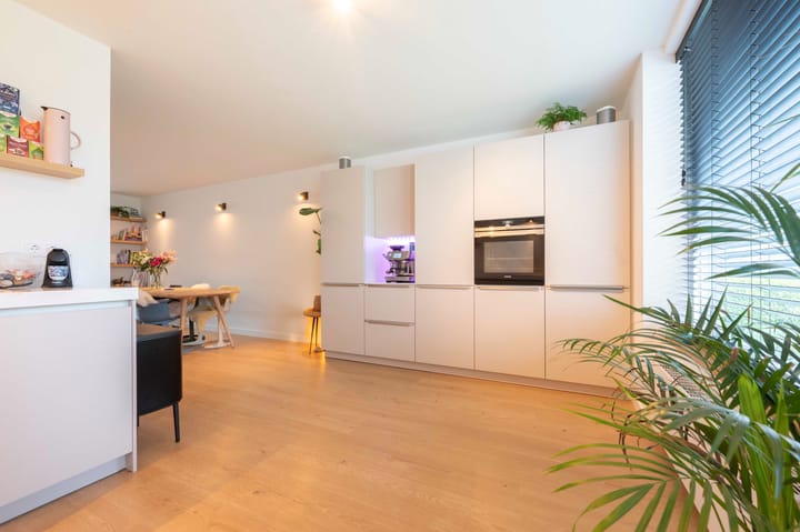 Foto 20 van Lisdodde 4