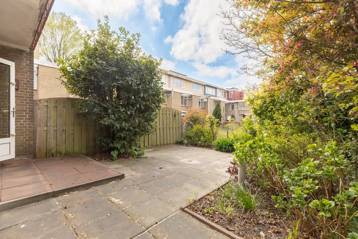 Foto 2 van Cornelis van Alkemadestraat 74