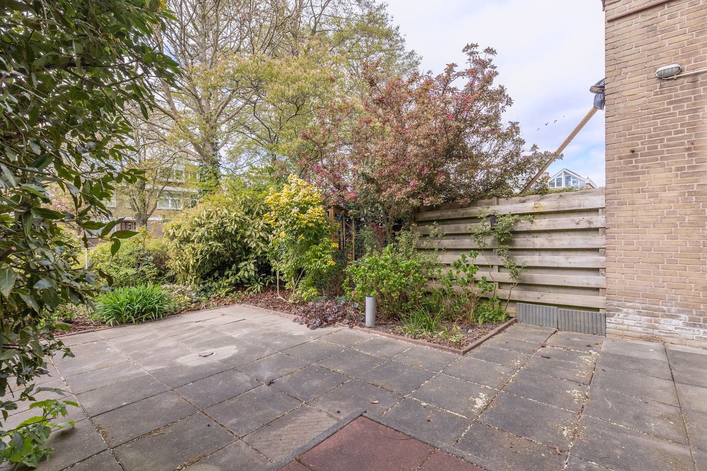 Foto 10 van Cornelis van Alkemadestraat 74