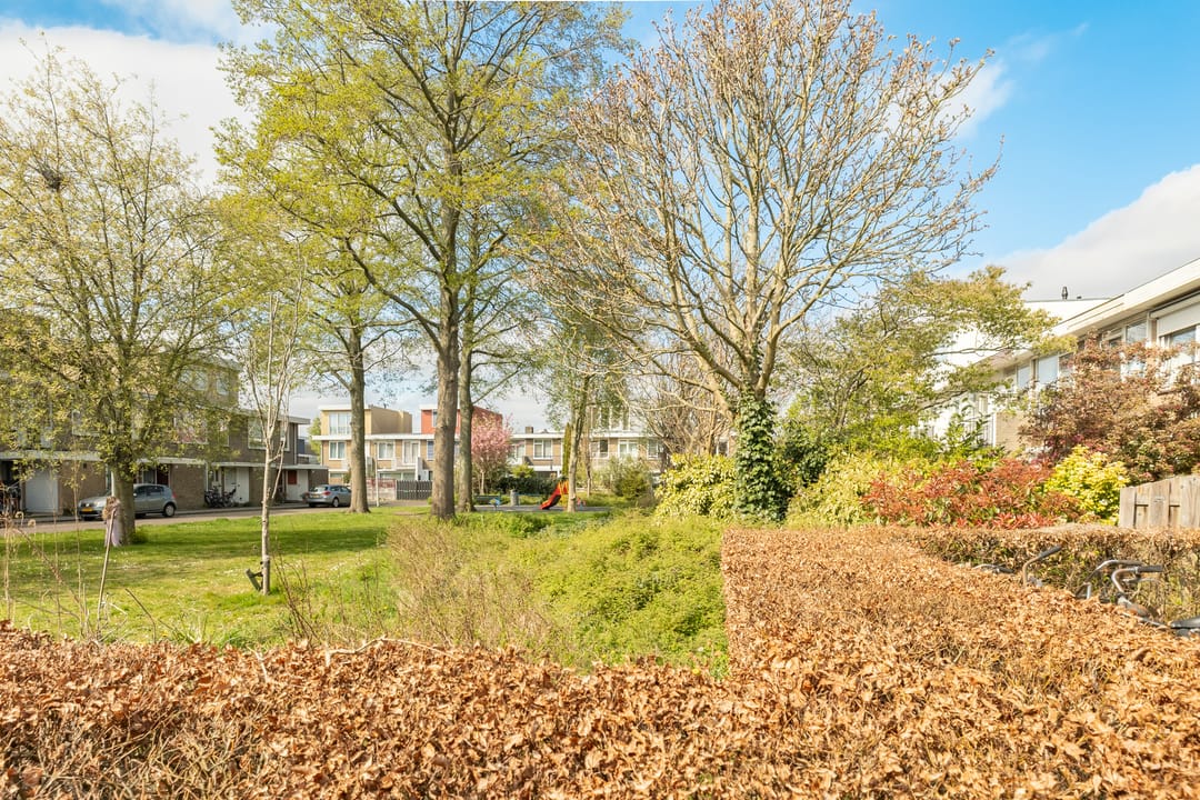 Foto 23 van Cornelis van Alkemadestraat 74