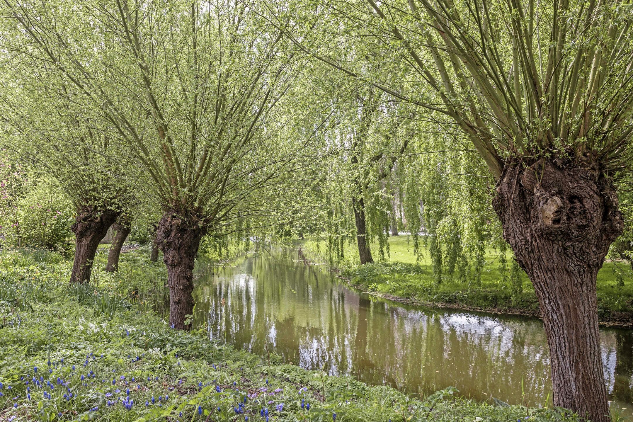 Foto 45 van Olympiaweg 8